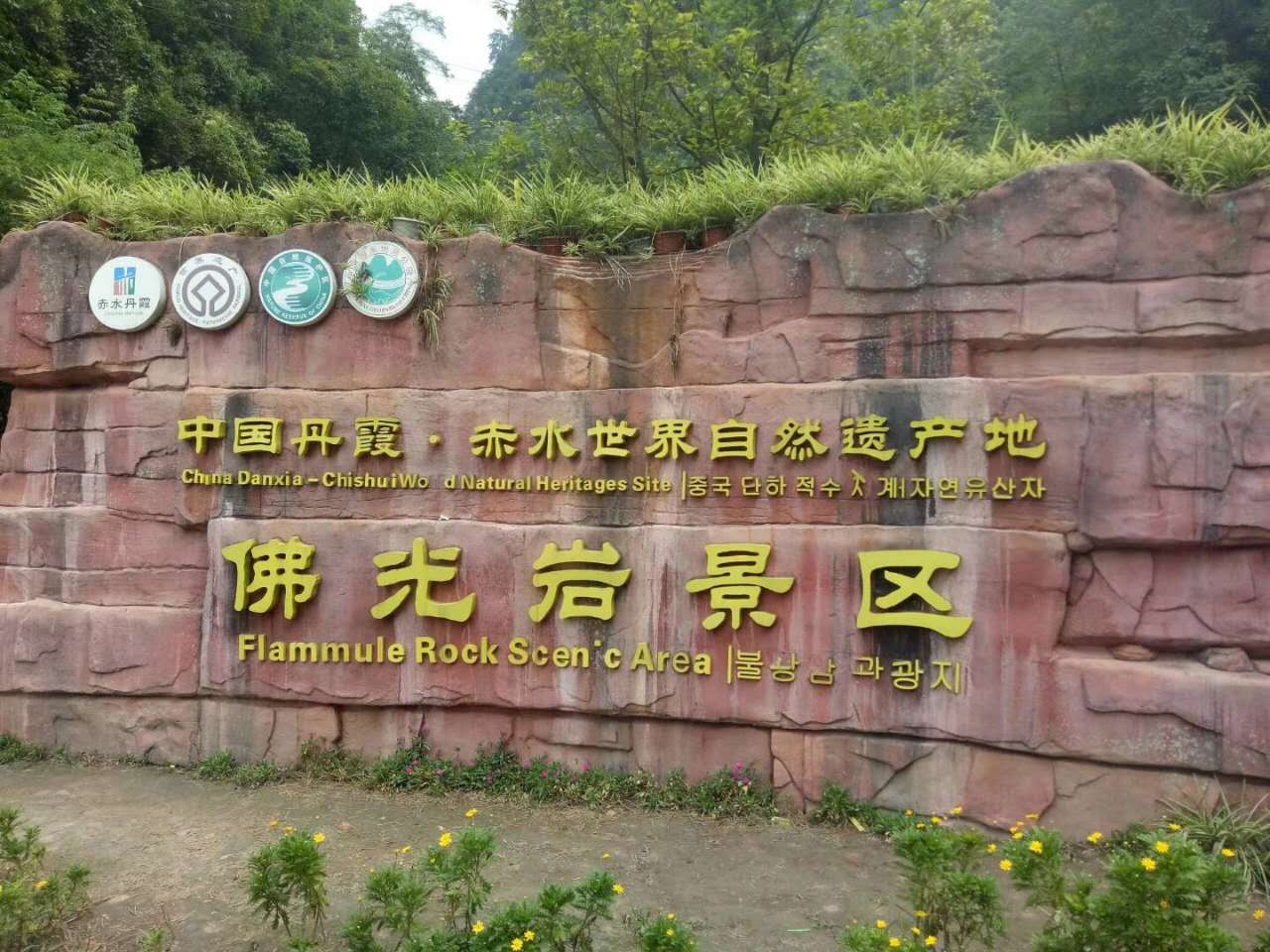 1504072617664250.jpg